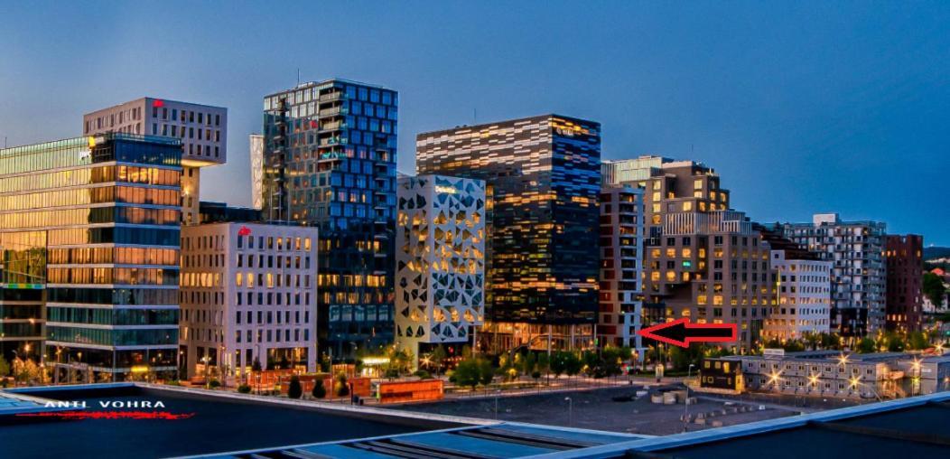 Spacious Modern 3Br Apartment At Central Oslo Barcode Εξωτερικό φωτογραφία